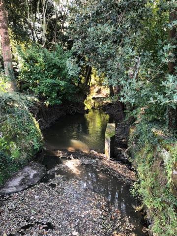 Gite Du Moulin De La Virvee Saint-André-de-Cubzac Eksteriør bilde